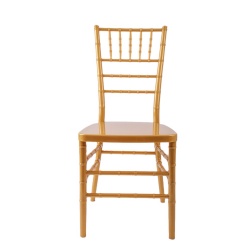 Gold Resin Popular Wholesale Factory Rental Party Wholesale Wedding Event Resin Chiavari Wedding Chair